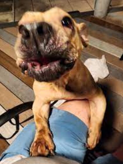 Portrait of Dr. Helena Carter